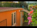 Apartments Orange - garden terrace : SA1(2+1) Banjole - Istria  - house
