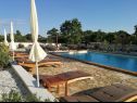 Holiday home Cvit - open pool: H(8) Barban - Istria  - Croatia - house