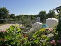 Holiday home Cvit - open pool: H(8) Barban - Istria  - Croatia - greenery (house and surroundings)