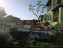 Holiday home Cvit - open pool: H(8) Barban - Istria  - Croatia - garden (house and surroundings)