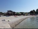 Apartments Mir - 50m from the sea A1(2+2), A2(2+1), A3(2), A4(4+2), A5(2+2) Fazana - Istria  - beach