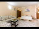 Apartments Mir - 50m from the sea A1(2+2), A2(2+1), A3(2), A4(4+2), A5(2+2) Fazana - Istria  - Apartment - A1(2+2): living room