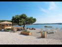 Apartments Ljilja - nice garden: A1(4+2) Fazana - Istria  - beach