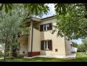 Apartments Roma - with terrace : A1(4) Fazana - Istria  - house
