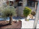Holiday home Bruna - rustic stone house : H(6) Krsan - Istria  - Croatia - garden