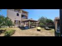 Apartments Elida: A1(5) Medulin - Istria  - courtyard (house and surroundings)