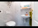 Holiday home VladimirG - surrounded by nature: H(8+2) Nedescina - Istria  - Croatia - H(8+2): toilet
