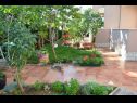 Apartments Leonard - green garden: A1 Leonard(2+1), A2 Marin(2+1), A3 Vera(2+1) Porec - Istria  - garden
