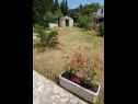Holiday home Draga - with pool: H(8+2) Pula - Istria  - Croatia - lawn