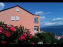 Apartments Jenny - sea view: A1(2+2) Ravni - Istria  - house