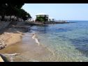 Apartments Eli - 50m from the sea: A1(4) Umag - Istria  - beach