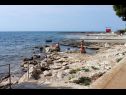 Apartments Eli - 50m from the sea: A3(4) Umag - Istria  - beach