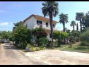 Apartments Eli - 50m from the sea: A1(4) Umag - Istria  - house