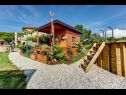 Holiday home Barbara - perfect holiday: H(5) Umag - Istria  - Croatia - courtyard (house and surroundings)