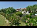 Holiday home Gurianum - with pool: H(8) Vodnjan - Istria  - Croatia - flourish plant (house and surroundings)