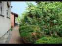 Rooms Branka - colorful: R1(2), R2(1) Krizevci - Continental Croatia - garden