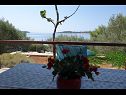 Apartments Nev - 20m from the sea A1 Veliki(4+2), A2 Mali(2+1) Blato - Island Korcula  - view
