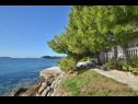 Apartments Lara - directly at the beach A1(6), A2(2+2) Blato - Island Korcula  - detail (house and surroundings)