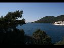 Apartments Robert - 5m from the sea: A1(2+2), A2(4+2) Brna - Island Korcula  - Apartment - A1(2+2): view
