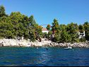 Holiday home Villa Antea - 80 m from the beach : H(8+1) Brna - Island Korcula  - Croatia - house