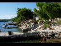 Apartments Mari - amazing sea view: A1(4), A2(4) Cove Karbuni (Blato) - Island Korcula  - Croatia - beach