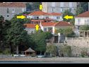 Apartments Vedro - 50 m from sea: 1- Red(4+1), 2 - Purple(2+1), 3 - Blue(2), 4 - Green(2+2) Korcula - Island Korcula  - house