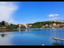 Apartments Relax - 50 m from sea: A1(2+2) Lumbarda - Island Korcula  - vegetation (house and surroundings)