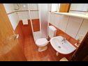 Apartments Relax - 50 m from sea: A1(2+2) Lumbarda - Island Korcula  - Apartment - A1(2+2): bathroom with toilet