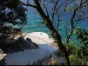 Holiday home Vers - 35m from the sea: H(4+2) Cove Picena (Vela Luka) - Island Korcula  - Croatia - beach