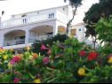 Apartments Dijana - 20m from the sea A1 Antica(4+1), A2 Diana(2+1), A3 Mirela(2+1) Prigradica - Island Korcula  - house