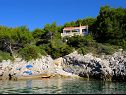 Apartments Desa - 10 m from the beach : A1-Mali(2), A2-Veliki(3) Prizba - Island Korcula  - house