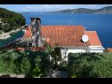 Apartments and rooms Ivo - 20m from the sea: A1(2), A2(2), A3(2+2), A4(2+2) Racisce - Island Korcula  - sea view (house and surroundings)