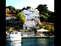 Apartments and rooms Ivo - 20m from the sea: A1(2), A2(2), A3(2+2), A4(2+2) Racisce - Island Korcula  - house