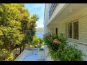 Apartments Mari - 50m from the sea A1(4+1), A2(4+1) Cove Tri zala (Zrnovo) - Island Korcula  - Croatia - courtyard (house and surroundings)