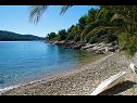 Holiday home Senka1 - pure nature & serenity: H(2+1) Cove Tudorovica (Vela Luka) - Island Korcula  - Croatia - beach