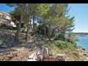 Apartments Nebo - big terrace with sea view A1 Dana(4) Cove Zubaca (Vela Luka)  - Island Korcula  - Croatia - house