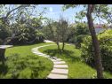 Holiday home Jadranka - with whirpool: H(4+1) Punat - Island Krk  - Croatia - lawn