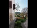 Apartments and rooms Luka - with parking; A1(2+1), A2(2+2), R1(2), R2(2) Vrbnik - Island Krk  - courtyard