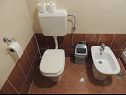 Apartments David A1(2+2), A2(3+2) Opatija - Kvarner  - Apartment - A1(2+2): bathroom with toilet