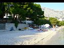 Apartments Toni - 150m from pebble beach: A1 veliki (5) Baska Voda - Riviera Makarska  - beach