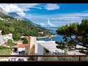 Apartments Rozari - family friendly & sea view: A1-Ivana (6+2) Brela - Riviera Makarska  - Apartment - A1-Ivana (6+2): terrace view (house and surroundings)