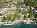 Apartments Sonja - 100 m from sea: A1(2+2), A2(4), SA3(2+1), SA5(2) Brela - Riviera Makarska  - beach