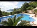 Holiday home Kris - quiet and romantic: H(8+2) Brela - Riviera Makarska  - Croatia - swimming pool