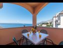 Apartments Ruze - 200 m from sea : A1(6+1), A2(8+1) Brela - Riviera Makarska  - Apartment - A2(8+1): terrace