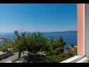 Apartments Ruze - 200 m from sea : A1(6+1), A2(8+1) Brela - Riviera Makarska  - Apartment - A2(8+1): view