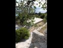 Apartments Up - amazing sea view: A1(2) Brela - Riviera Makarska  - courtyard