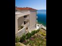 Apartments Beachfront luxury condos : SA1(2+1), SA2(2), A3(2+2), A4(2+2), SA5(2+2), SA6(2+1), A7(2+2), A8(2+2), A9(2+1), R10(2), A11(2+2), A12(2+2) Brela - Riviera Makarska  - sea view (house and surroundings)
