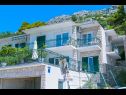 Apartments Robert - sea view : A1(4+1), A2(4+2) Brela - Riviera Makarska  - house