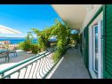 Apartments Robert - sea view : A1(4+1), A2(4+2) Brela - Riviera Makarska  - Apartment - A1(4+1): terrace