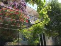 Apartments Secret garden - seaview: A1(4), A2(2) Brela - Riviera Makarska  - house